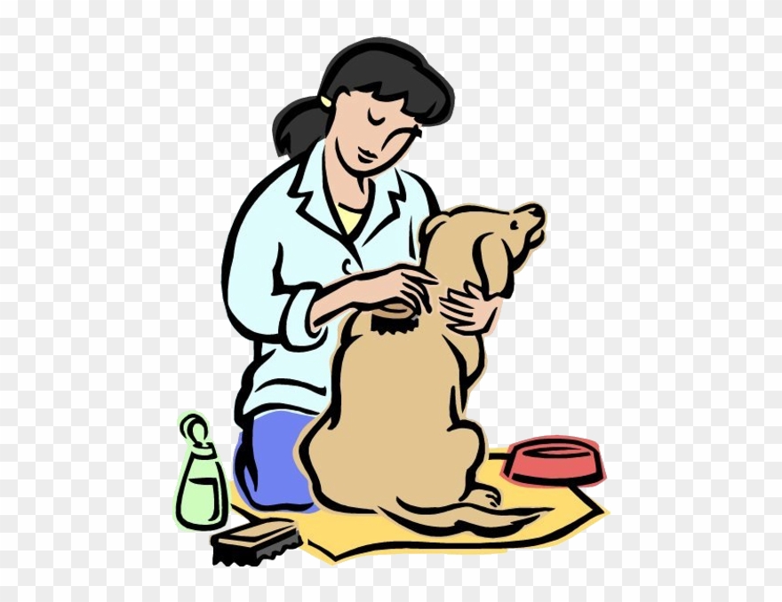 Animal Grooming Cartoon Animal S Homepage T-rex Dinosaur - Taking Good Care Of Animals Clipart