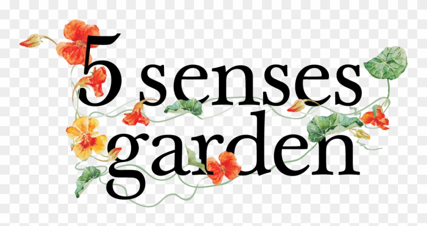 Vision Clipart Senses - Business Car - Png Download