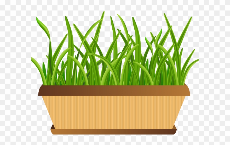 Pot Plant Clipart Bucket Flower - Flower Pots Clipart Transparent - Png Download