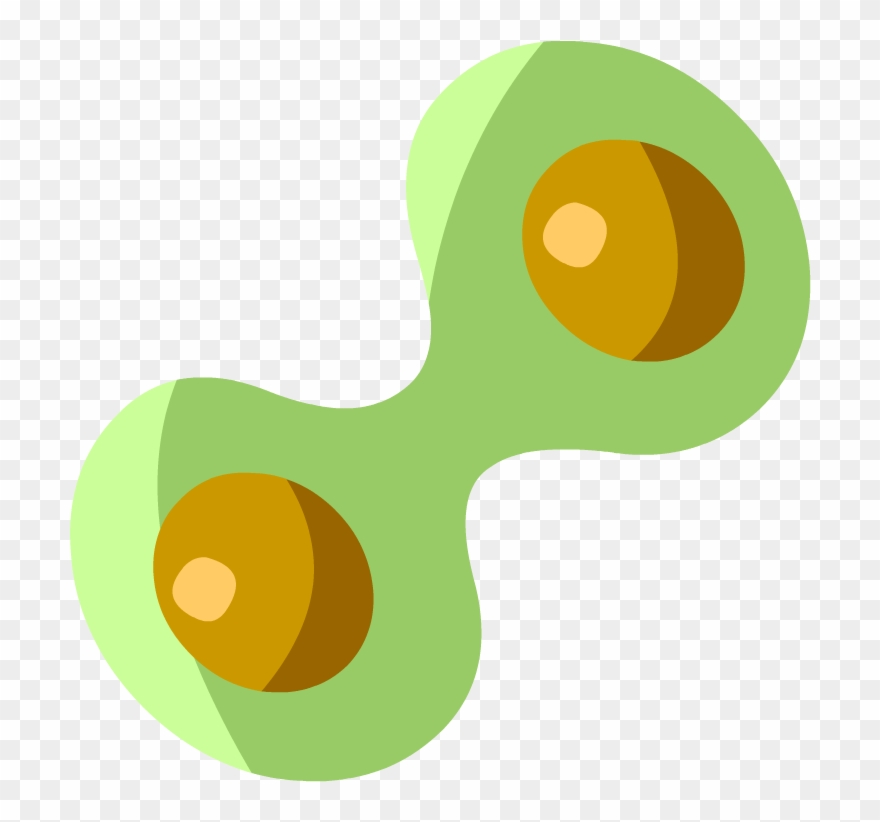 Mitosis - Mitosis Brainpop Clipart