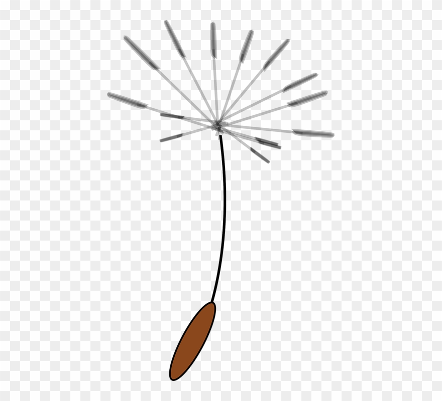 Clip Art Dandelion Seed - Png Download