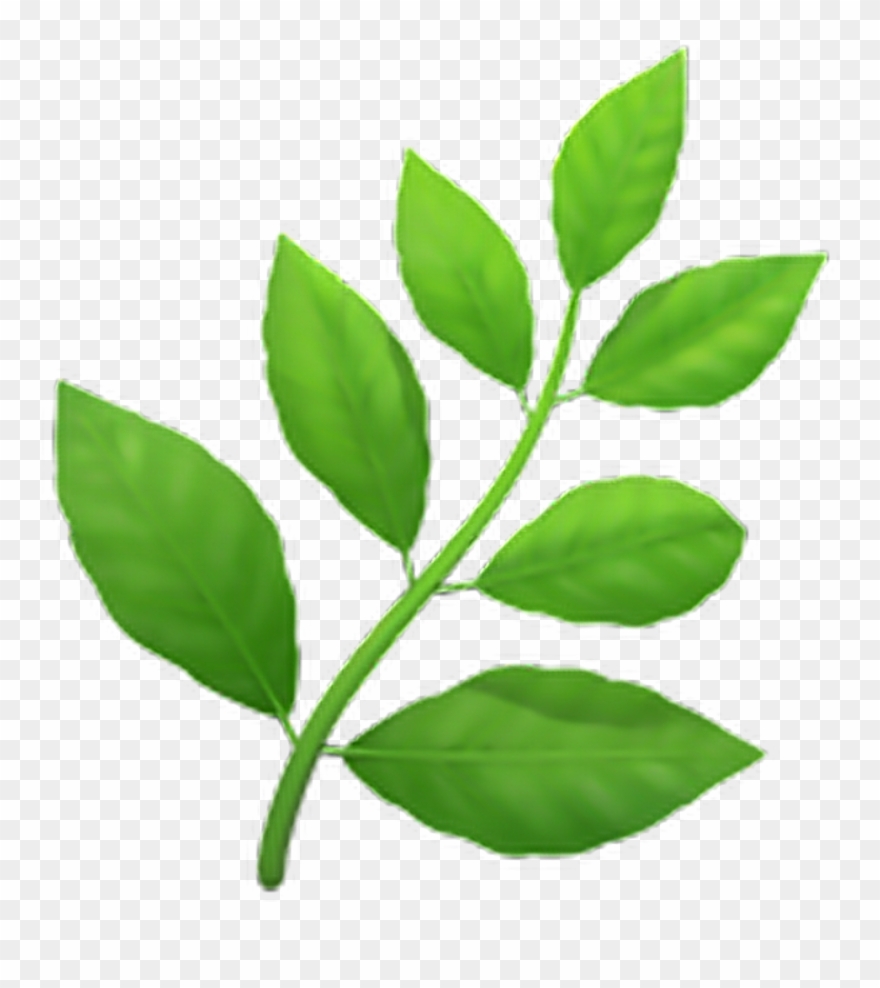 Leaves Emoji Emoticon Iphone Iphoneemo - Iphone Herb Emoji Png Clipart