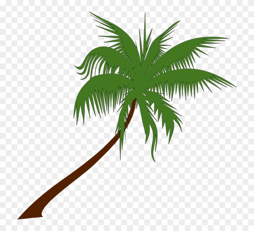 Free Vector Graphic - Palm Tree Vector Png Clipart
