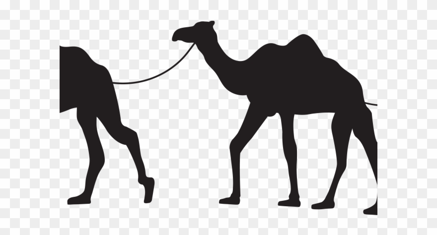 Llama Clipart Shadow - Camel Train Silhouette - Png Download