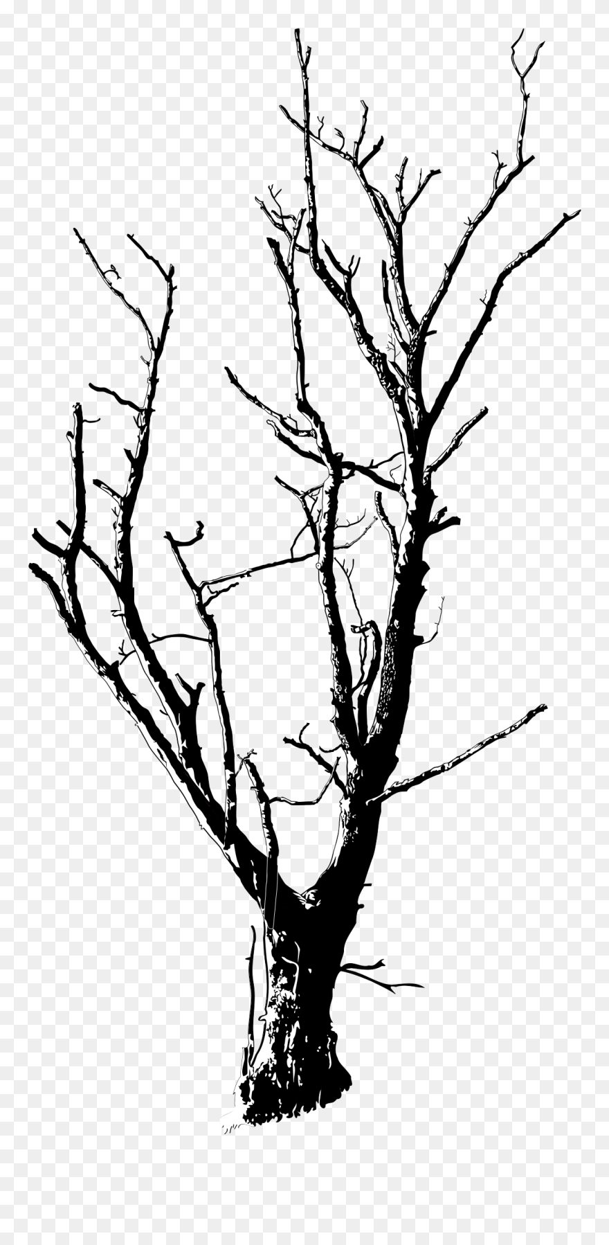 Medium Image - Dead Tree Line Drawing Clipart