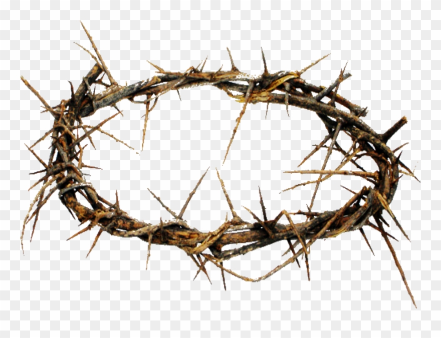 Crown Of Thorns Png Hd Transparent Crown Of Thorns - Story Of His Love - Cd Clipart