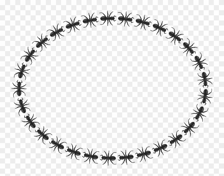 Border Bulat Cantik Clipart