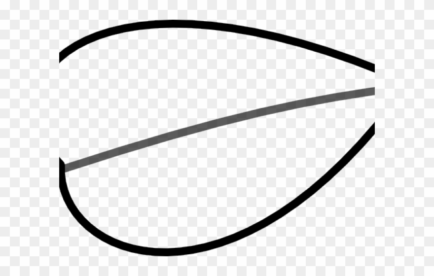 Circle Clipart