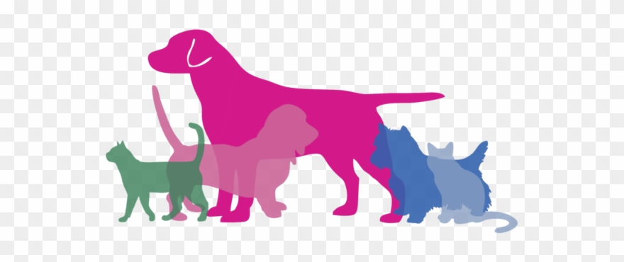 Our Services - Framed Canvas Art - Caturday By Amanda Murray Clipart