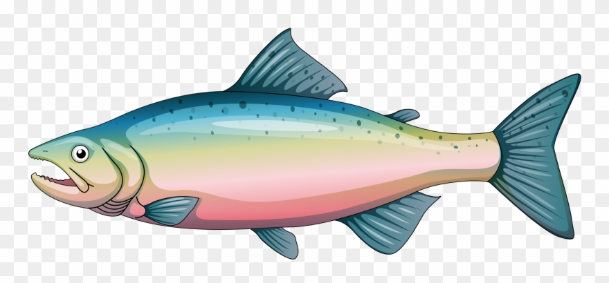 Яндекс - Фотки - Cartoon Rainbow Trout Clipart