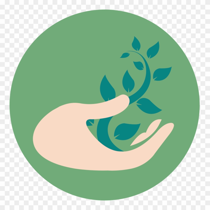 A Hand And A Plant - Naturalist Clipart - Png Download