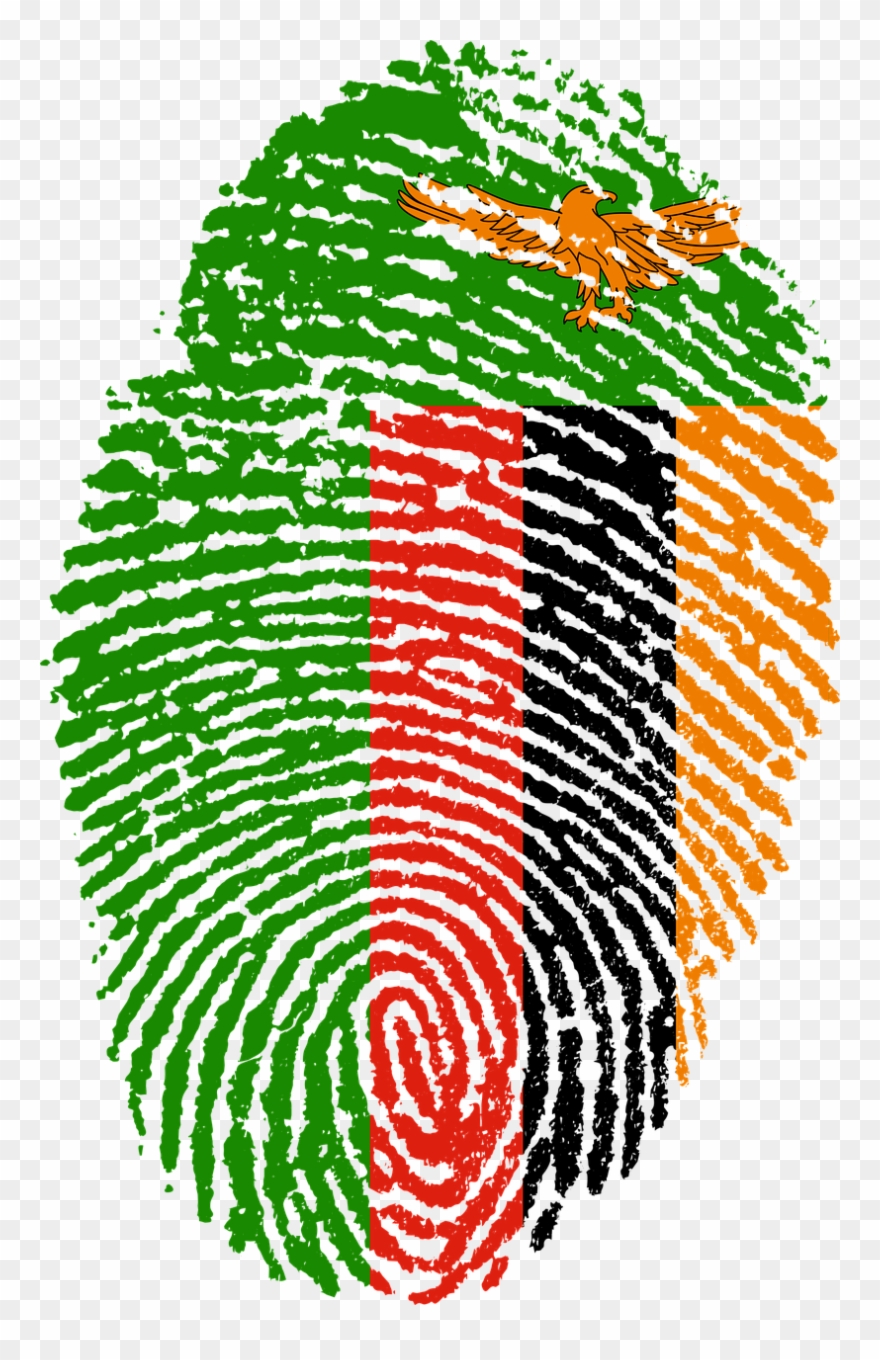 The Zambian Episcopal Conference Alerts The Public - Zambian Flag Transparent Background Clipart