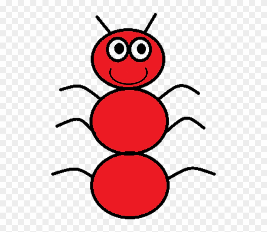 Ant No White Background - Ant Graphic Organizer Clipart