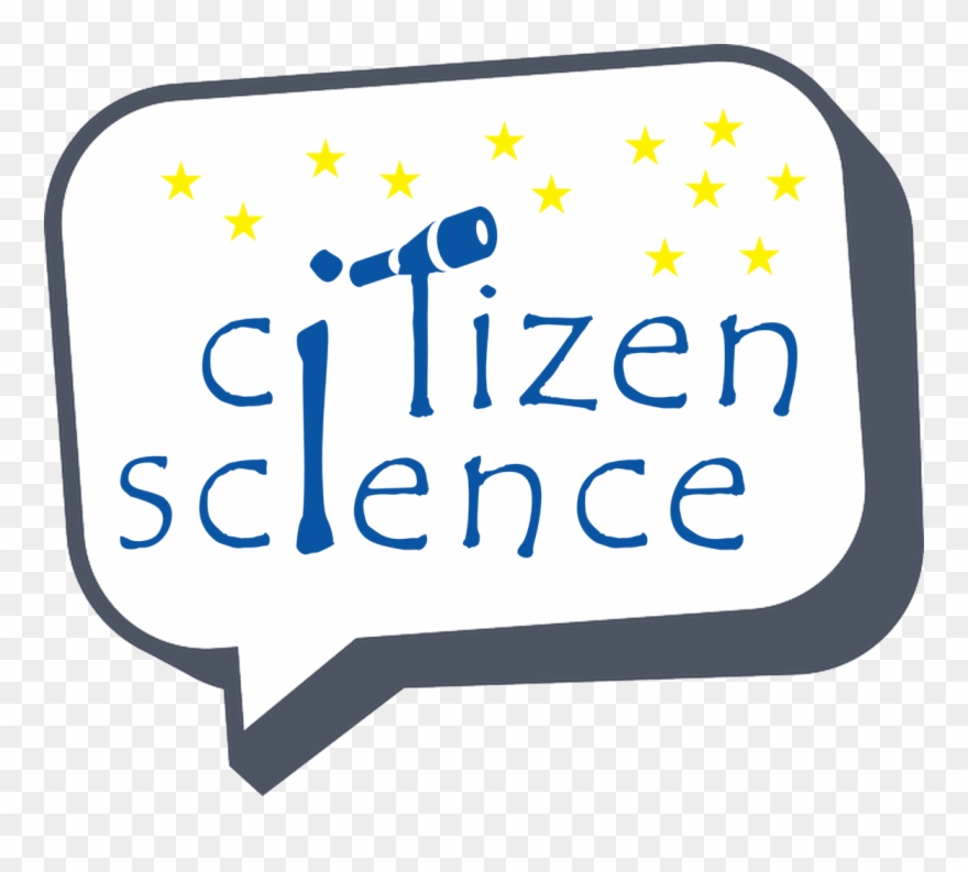 Take The Survey - Gimme 5 Clipart