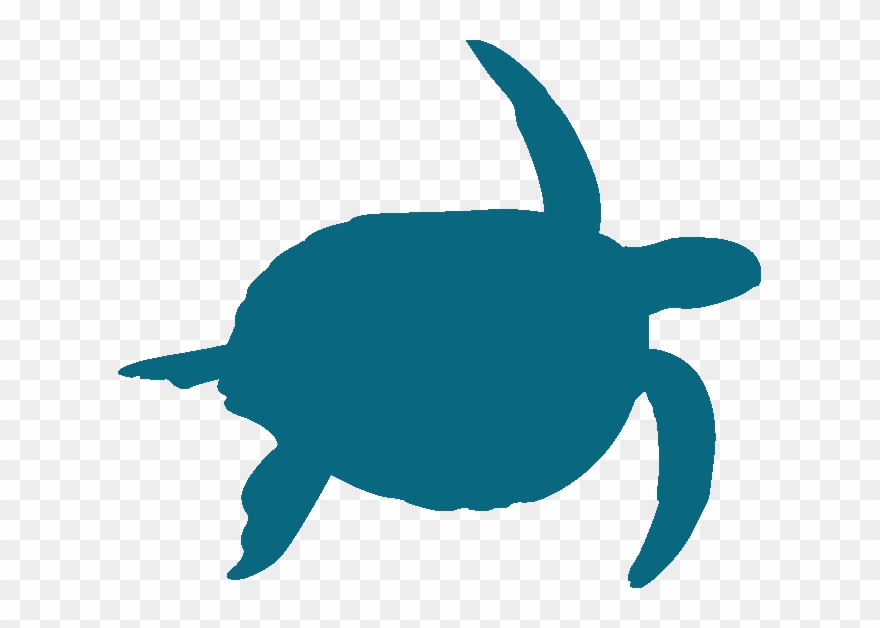 Rhino $15 A Month For A Year Could Pay For Equipment - Clip Art - Png Download