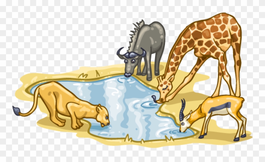 Watering Hole - Clip Art - Png Download