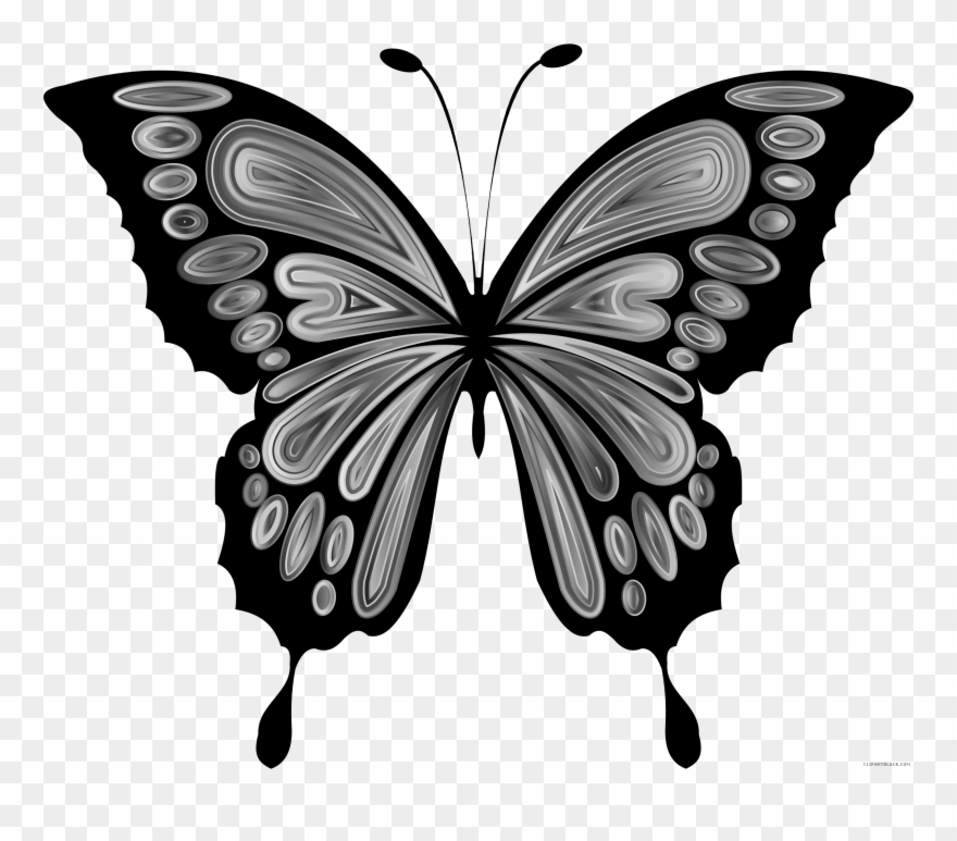 Prismatic Butterfly Remix Clipart - Clip Art Of Butterfly - Png Download