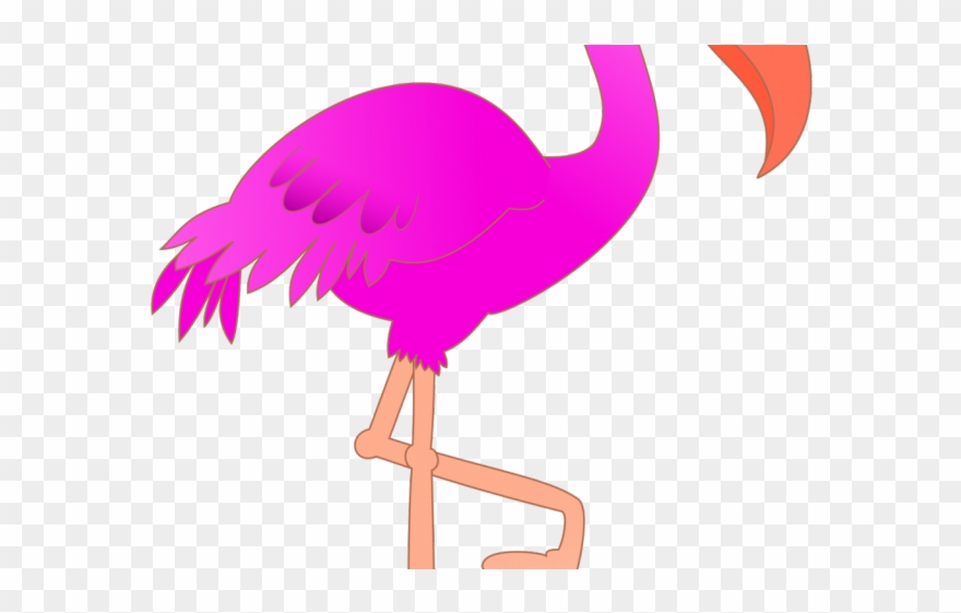 Flamingo Clipart Clear Background - Draw Birds And Names - Png Download