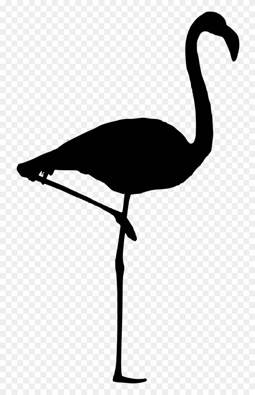Silhouette,flamingo Isolated,free Vector - Flamingo Vektör Clipart