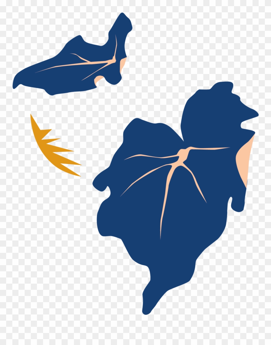 Bloomscape Philodendron Little Hope - Illustration Clipart