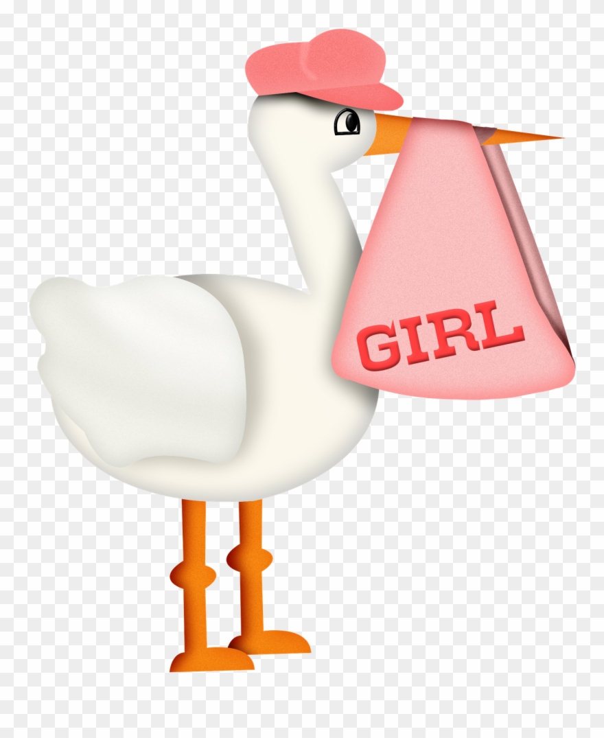 Bebê & Gestante Baby Shawer, Storks, Ark, Baby Scrapbook, - Clip Art - Png Download