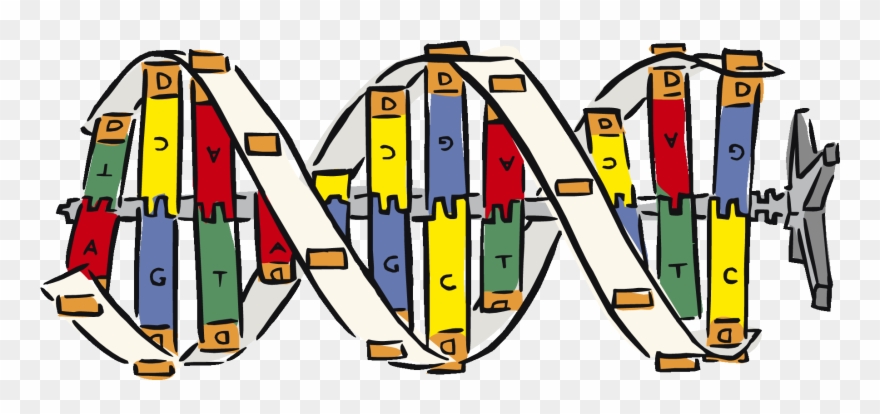 Girl Fishing Silhouette At Getdrawings - Genes And Chromosomes Clipart - Png Download