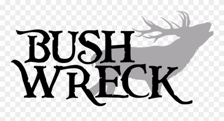 Bonus Fishing Dvd - Texas Clipart