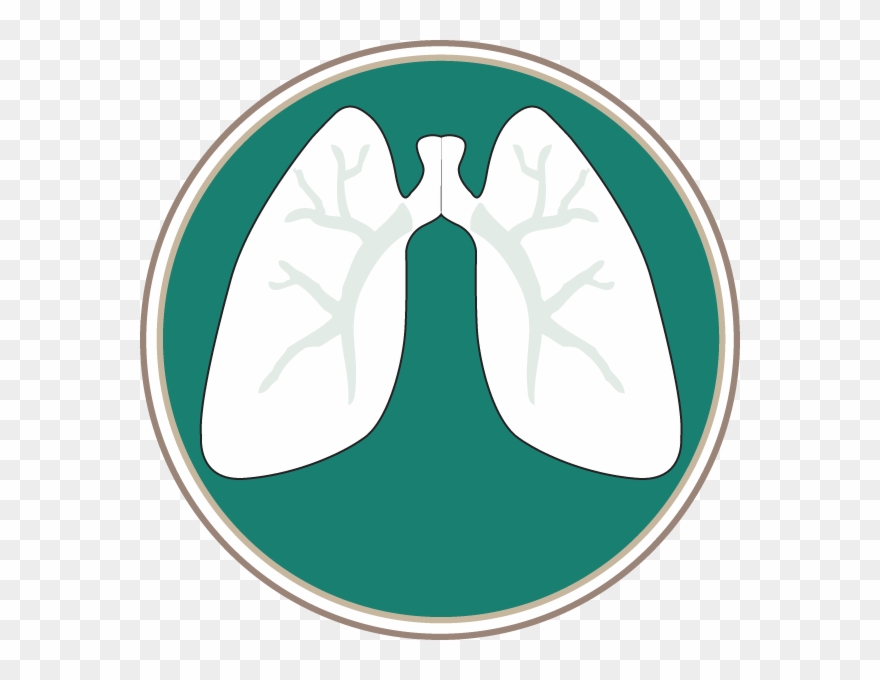 Southern Lung Specialists, Pc - Lungs Logo Png Clipart