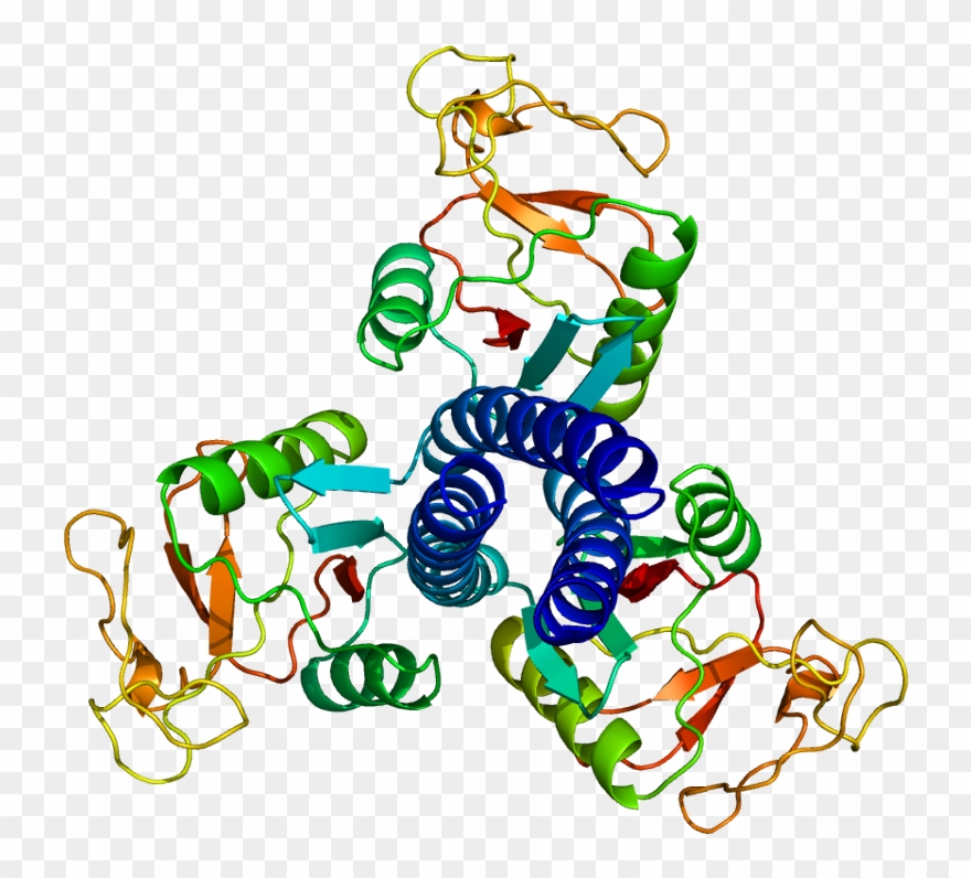 Protein Sftpd Pdb 1b08 - Surfactant Protein D Structure Clipart