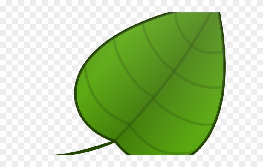 Green Leaves Clipart Single Green Leave - Png Download