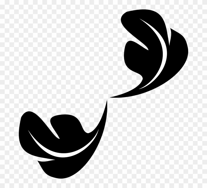 Clip Art Royalty Free Leave Free On Dumielauxepices - Flourish Leaf - Png Download