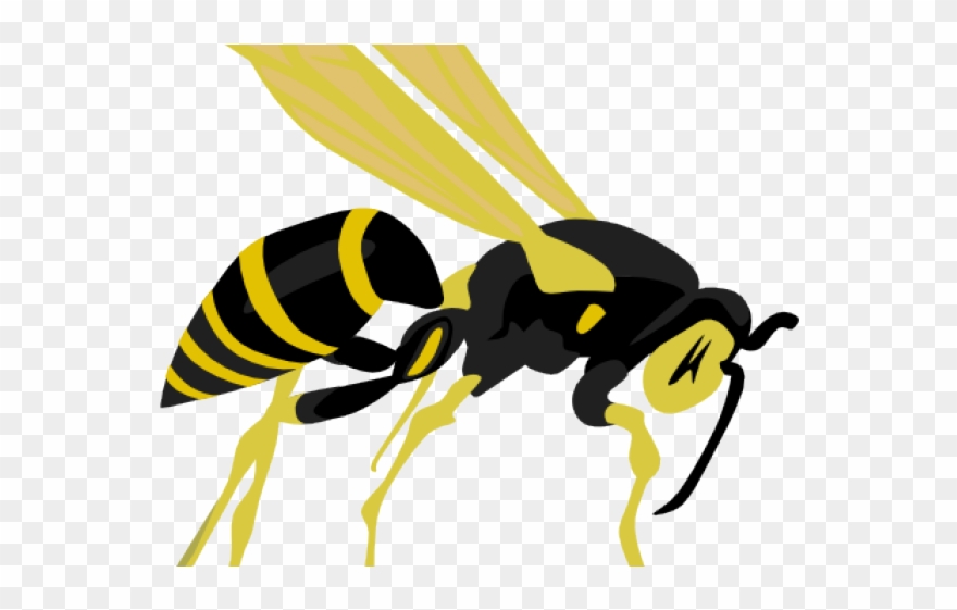 Wasp Clipart Small - Wasp Clip Art - Png Download