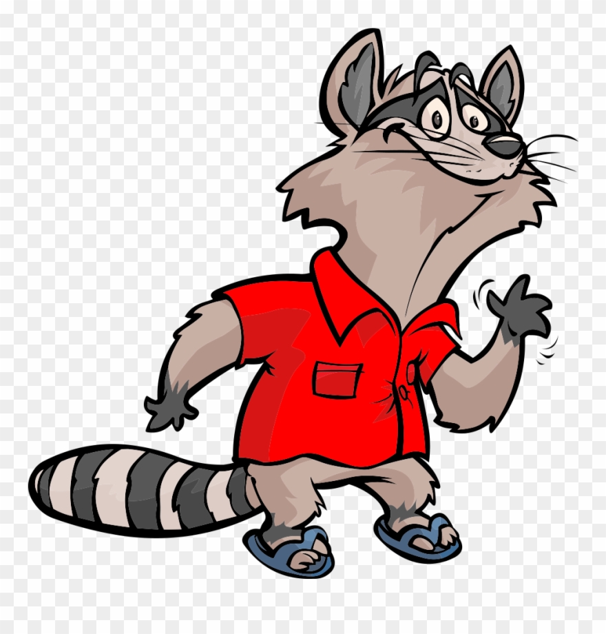 Racoon Clipart Vertebrate - Cartoon Raccoon Png Transparent Png