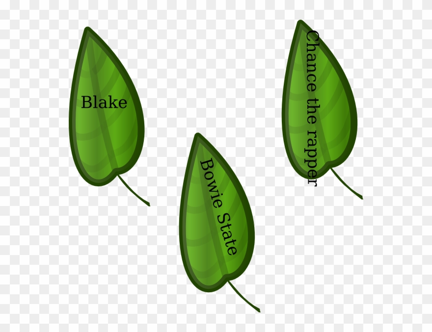 Leaves Now And Then - Portable Network Graphics Clipart