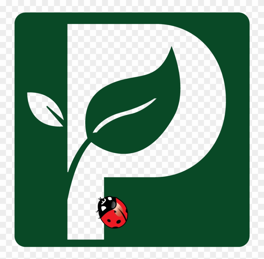 Plant Escape Inc Clipart