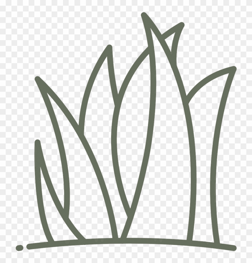 Landscape Design - Grasses Clipart