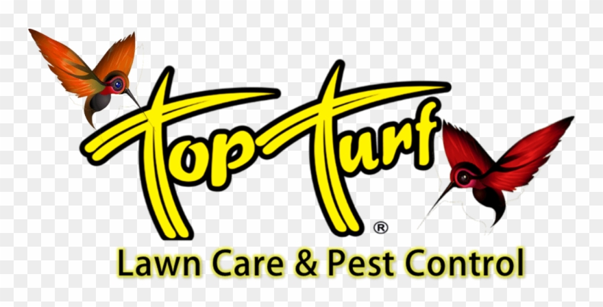 Old Top Turf Logo - Top Turf Clipart