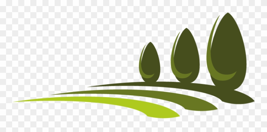 What Is Lawn And Types Of Lawn - Garden Clipart