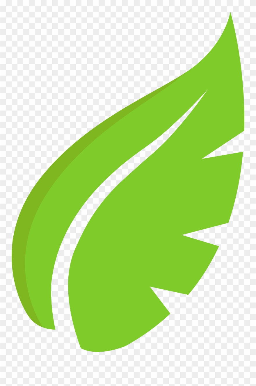 All Photo Png Clipart - Hoja De Arbol Verde Transparent Png