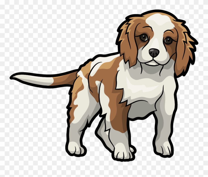 Download Cartoon Cavalier King Charles Spaniel Clipart (#1036538