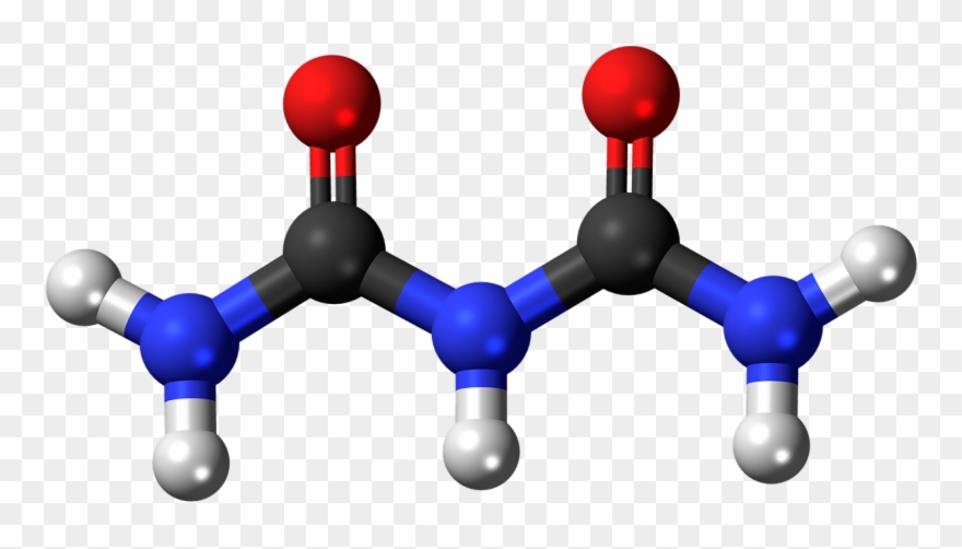Biuret Molecule Model - Inorganic Chemistry: Techniques And Mechanisms Clipart