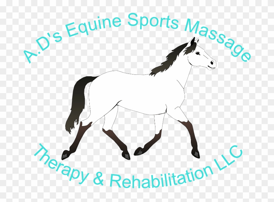 Small Horse Coloring Pages Clipart