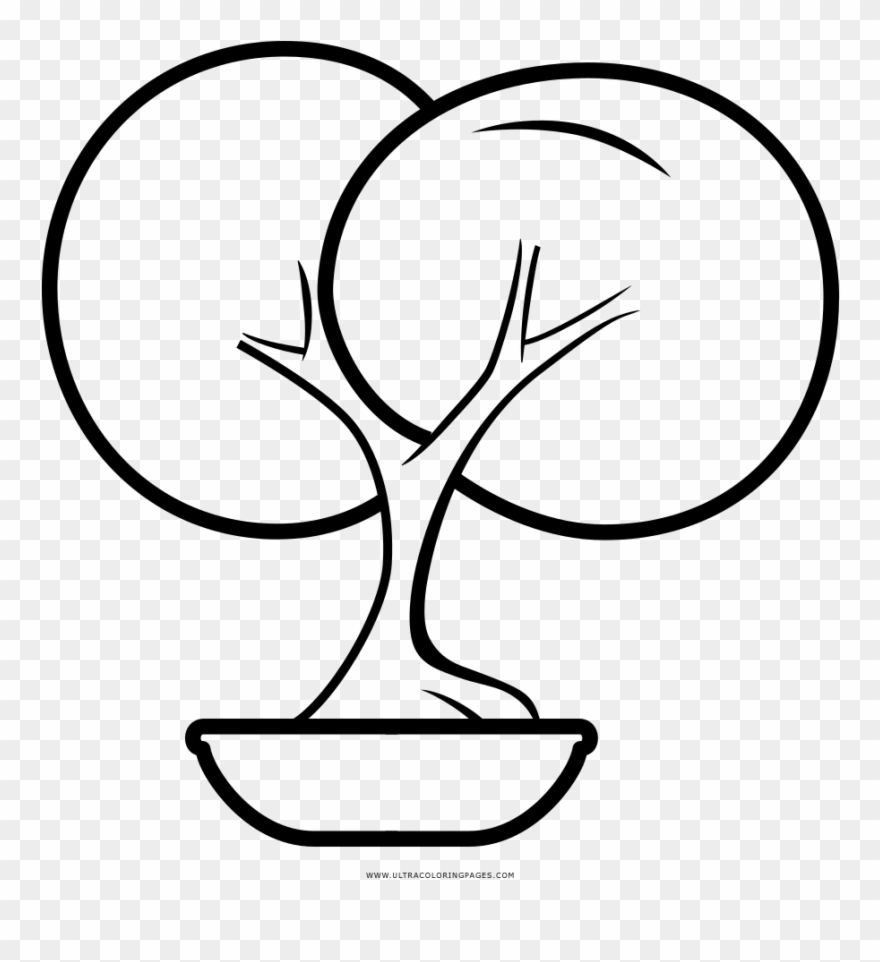 Bonsai Tree Coloring Page - Drawing Clipart