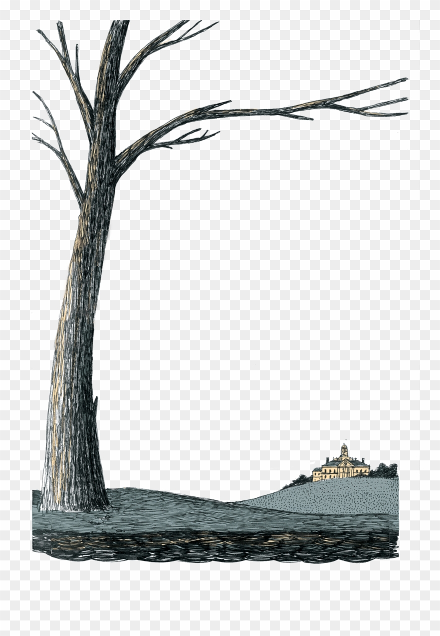 Clip Transparent Stock Bonsai Drawing A Separate Peace - Separate Peace Ebook - Png Download