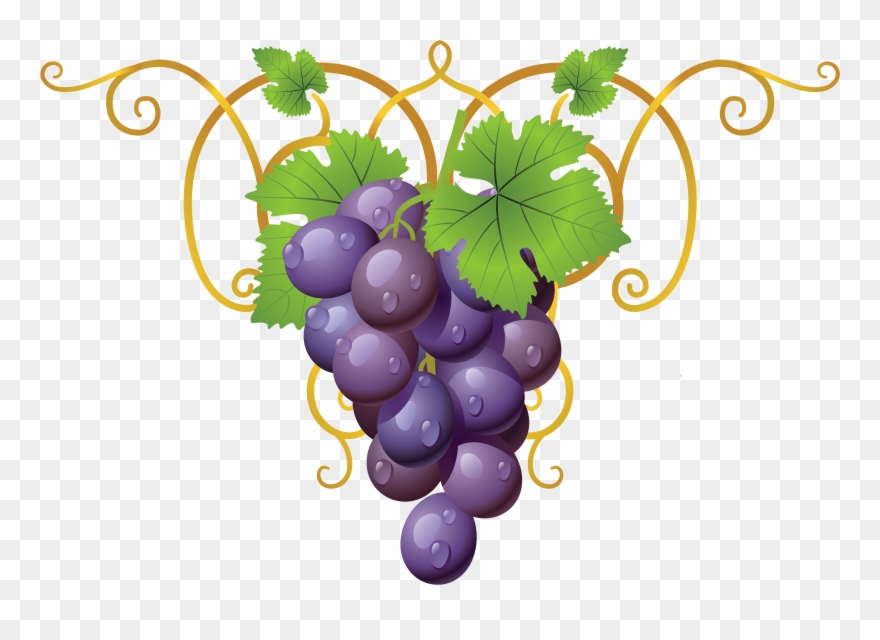 Grapevine Clipart Transparent - Grappe De Raisin Clipart - Png Download
