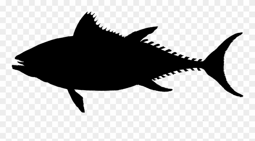 2418 Fish Silhouette Free Vintage Clip Art➢ Download - Free Tuna Silhouette - Png Download