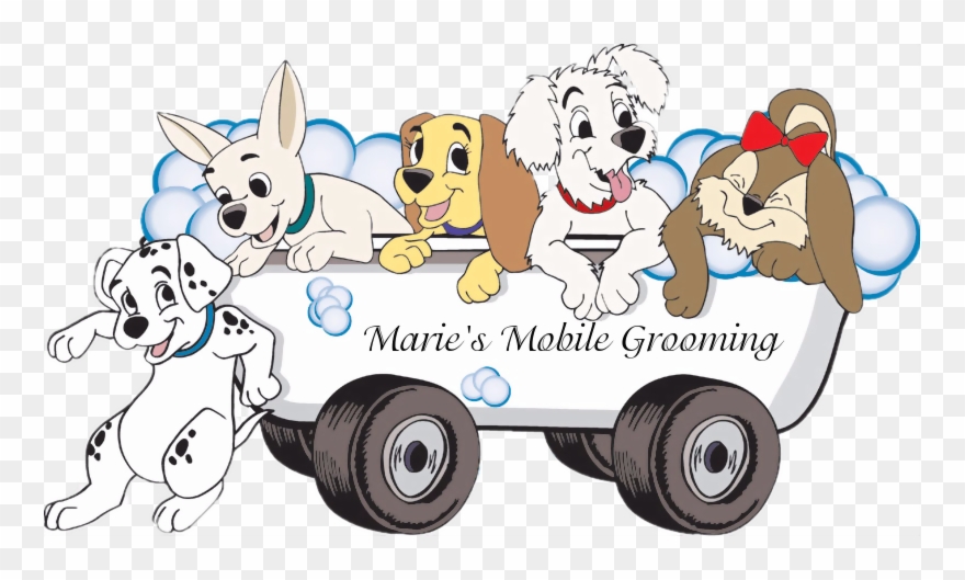 No More Scheduling Drop Offs And Pickups - Pet Grooming Clip Art - Png Download