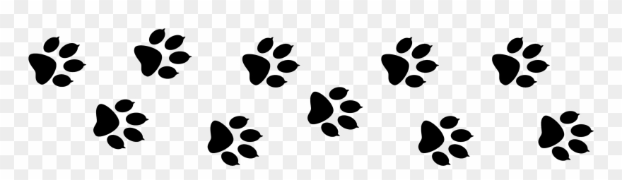 Benefits To Mobile Grooming - Dog Paw Print Header Clipart
