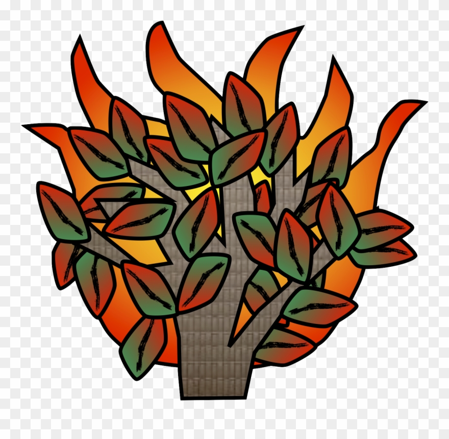 Father Aubuchon Popped In Our Class Just Before Lunch - Flower Clipart