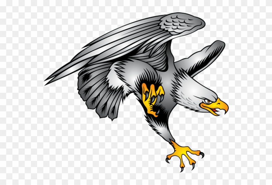 Bald Eagle Pics Art Clipart (#1043252) - PinClipart